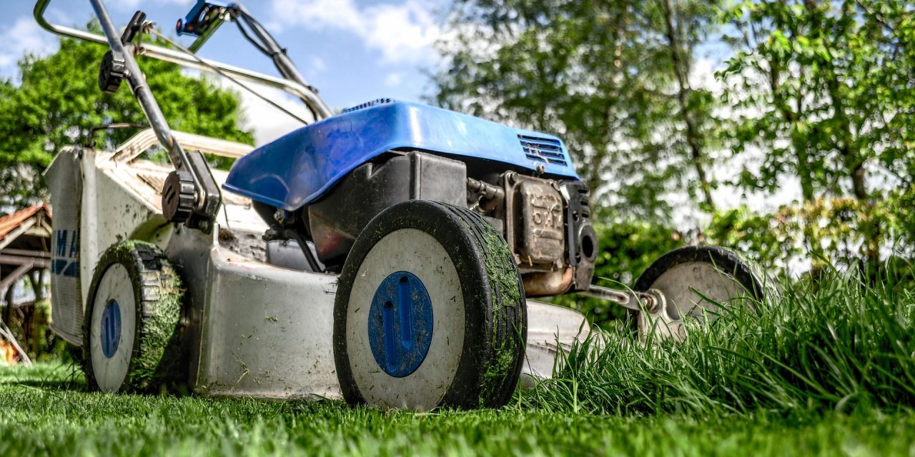 De 4 zomertrends in de tuin voor 2018