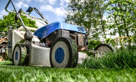 De 4 zomertrends in de tuin voor 2018