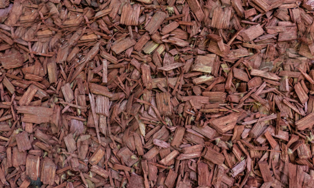 Alles wat je moet weten over de duurzame houtpellets keurmerk